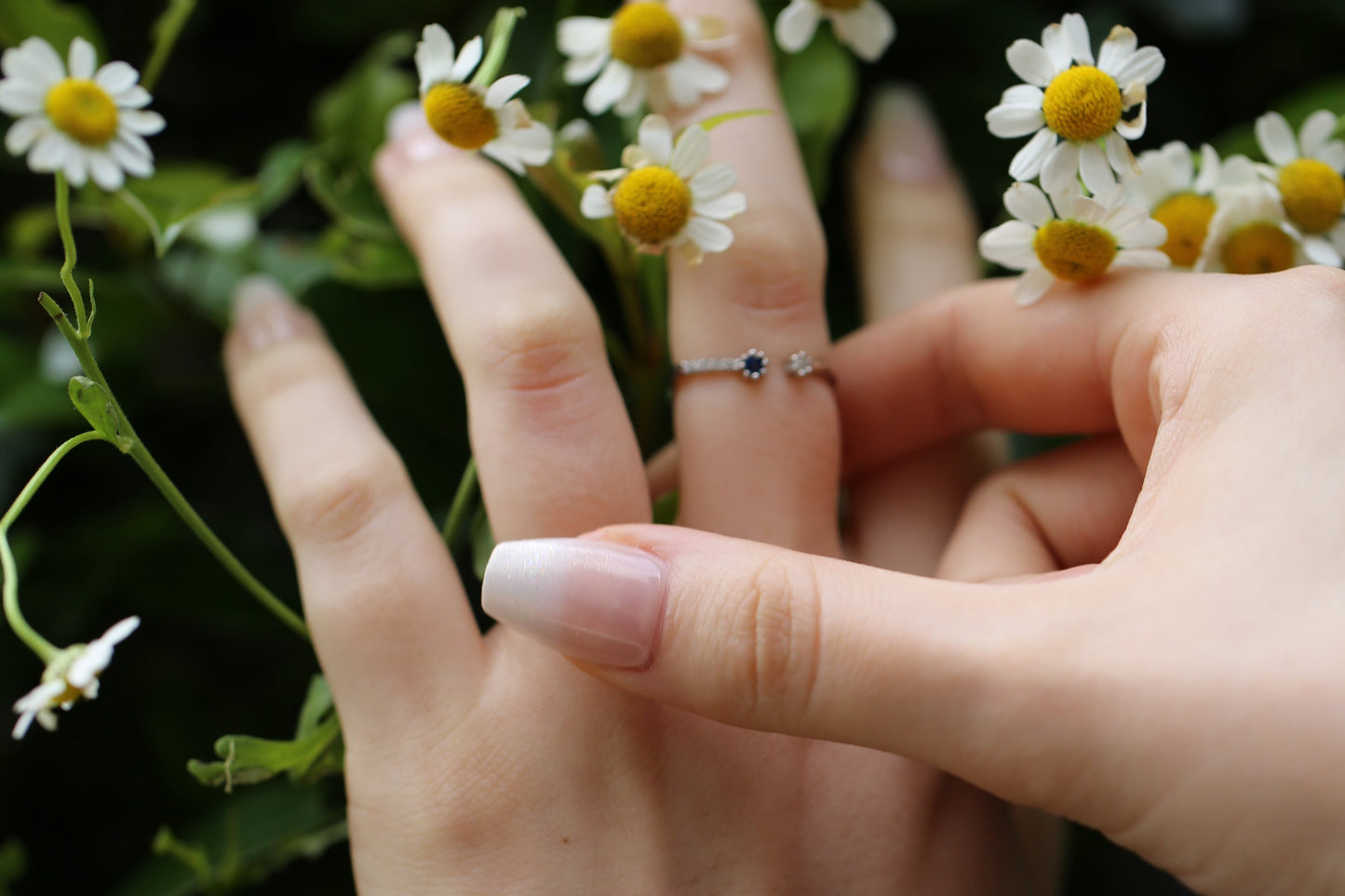 Stellar Radiance Ring