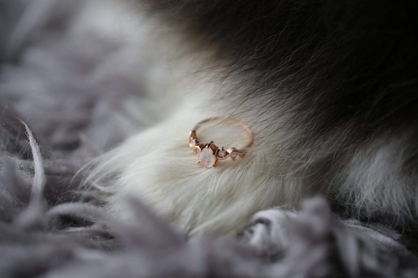 Enchanted Moonstone Ring